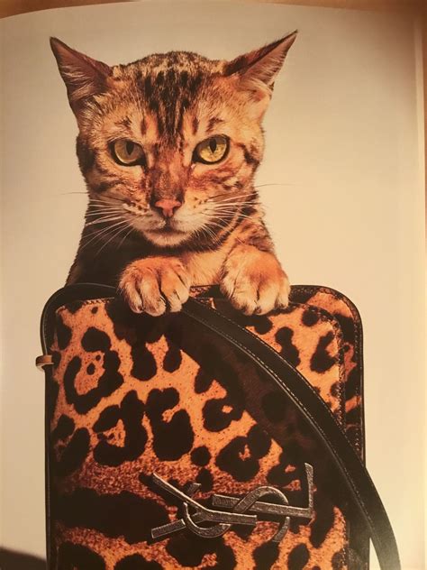 cat print louis vuitton fake|false louis vuitton.